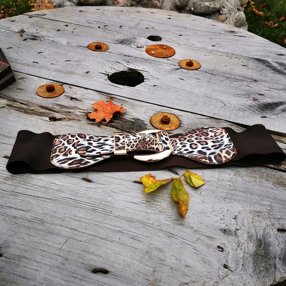 Ardene Spain Faux Leather Leopard Print Brown Stretch Gold Buckle Belt - Picture 10 of 16
